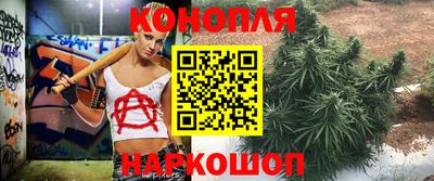 дмт Гусев