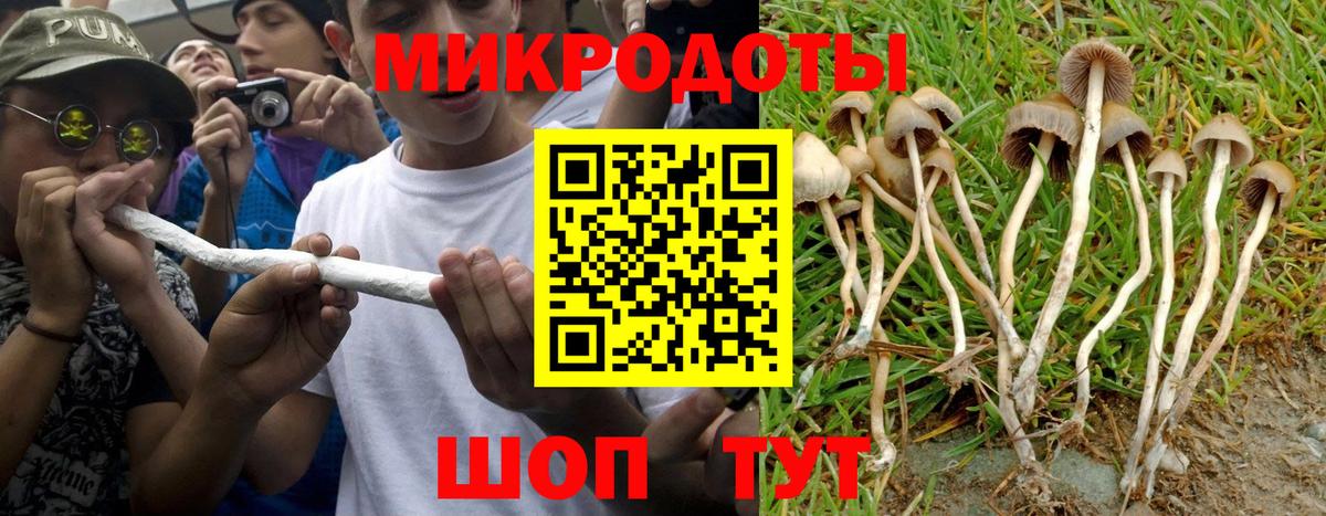 Минусинск  Псилоцибиновые грибы ЛСД  цена   Вход с VPN  Галлюциногенные грибы Cubensis 