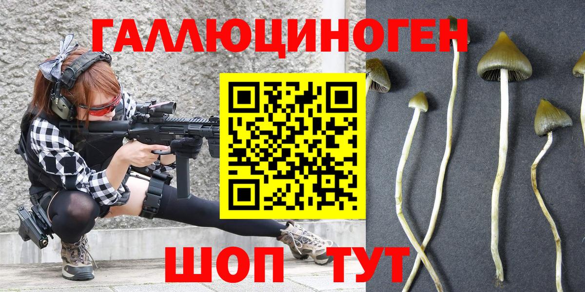 Псилоцибиновые грибы MAGIC MUSHROOMS Минусинск